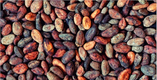 Giá cà phê Arabica tăng nhẹ Giá cà phê Arabica tăng nhẹ